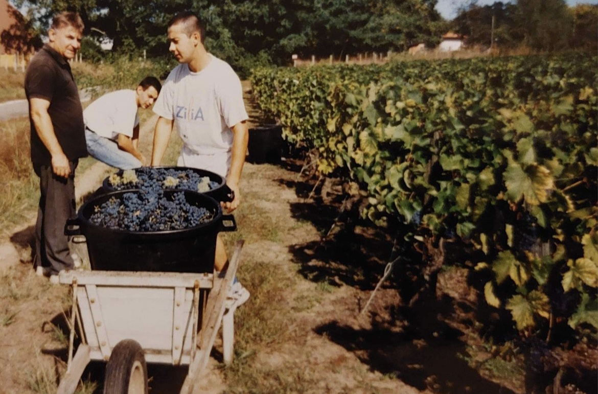 Histoire : il y a quelques décennies, on cultivait la vigne dans le Val de l'Eyre