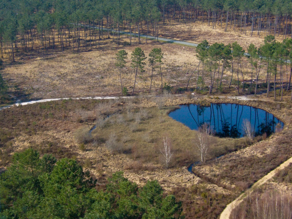 Les lagunes de Saint-Magne sont inspectées à la loupe dans la deuxième édition de Sigman./Photo Parc naturel régional des Landes de Gascogne.