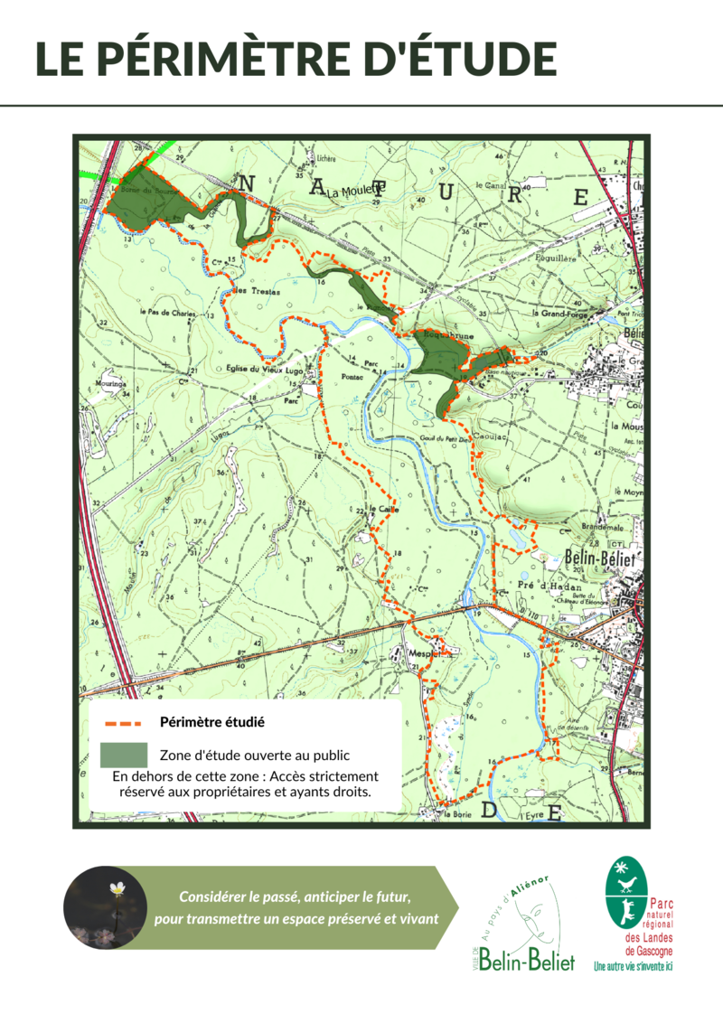 Le périmètre étudié pour délimiter la réserve naturelle régionale du Graoux./Reproduction Parc naturel régional des Landes de Gascogne.