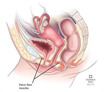 Pelvic Floor Dysfunction