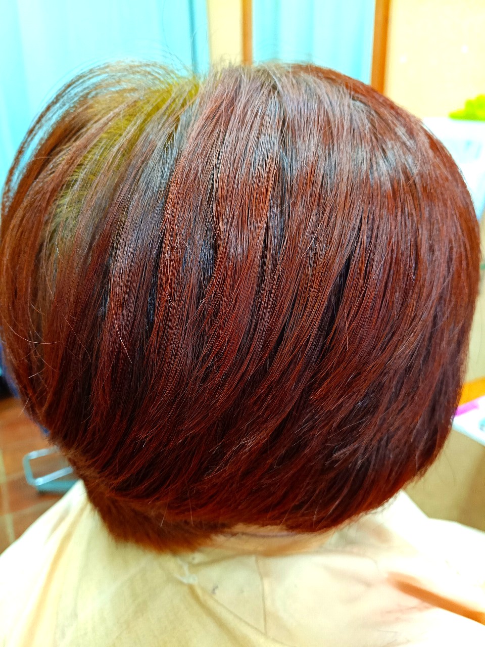 八王子 国産ヘナ