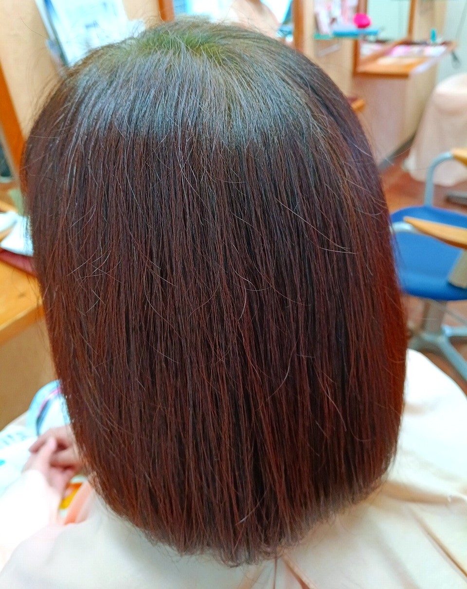 沖縄ヘナ 沖縄インディゴ