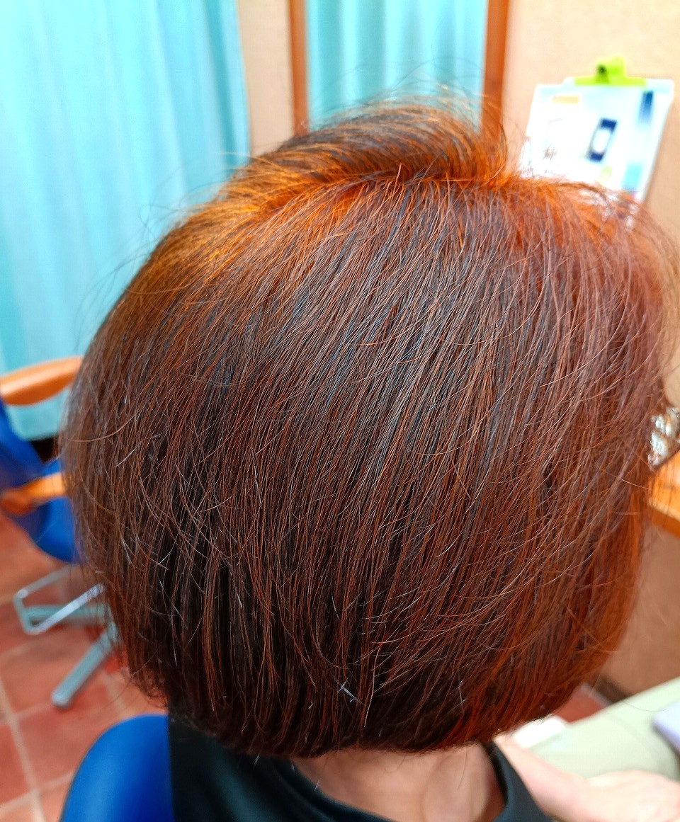 京王線 ヘナ