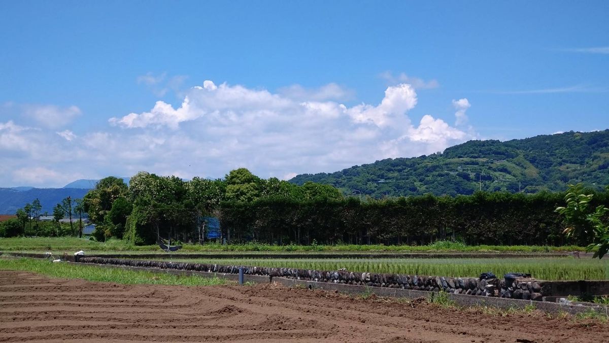 高田第2圃場
