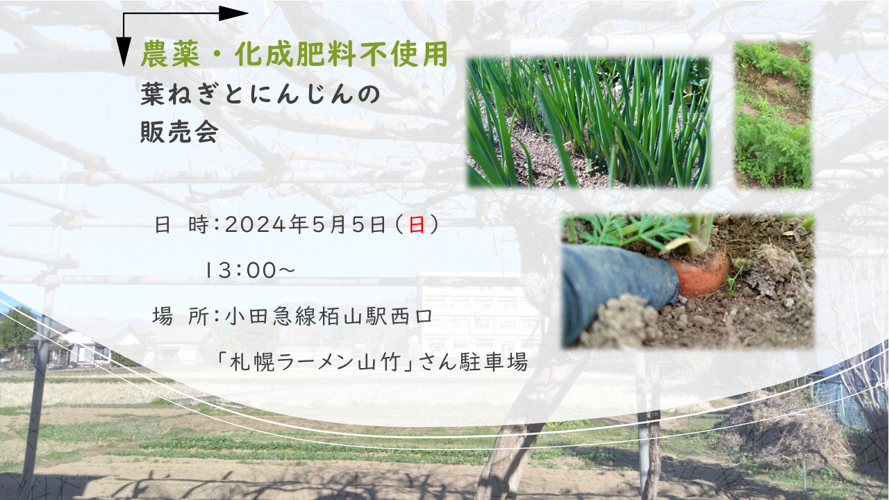 野菜販売会のお知らせ