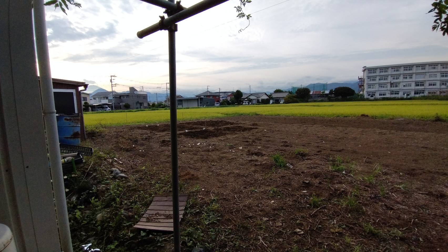 栢山圃場