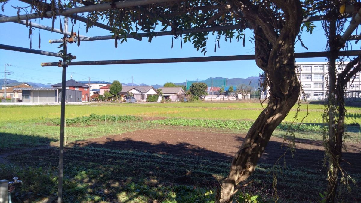 栢山圃場