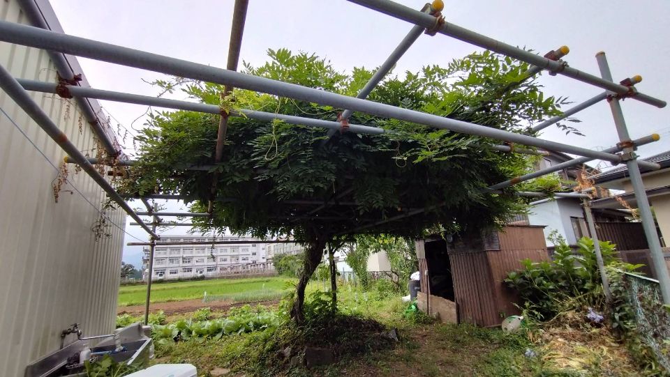お久しぶりです。