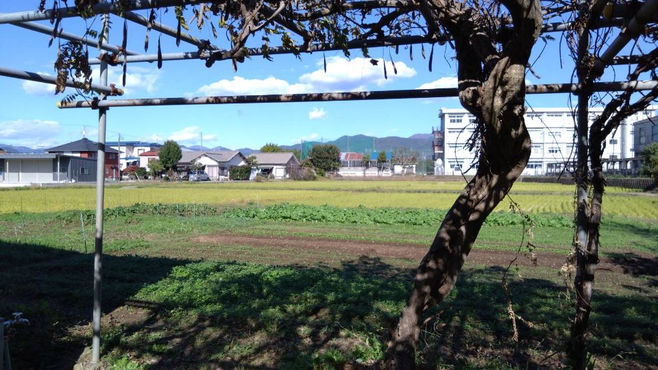 栢山圃場