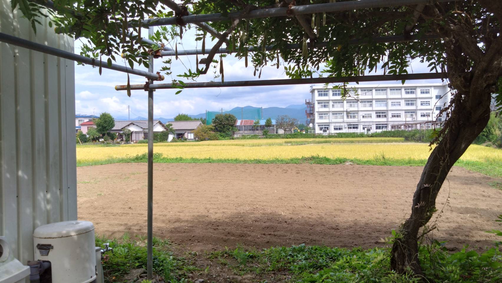 栢山圃場