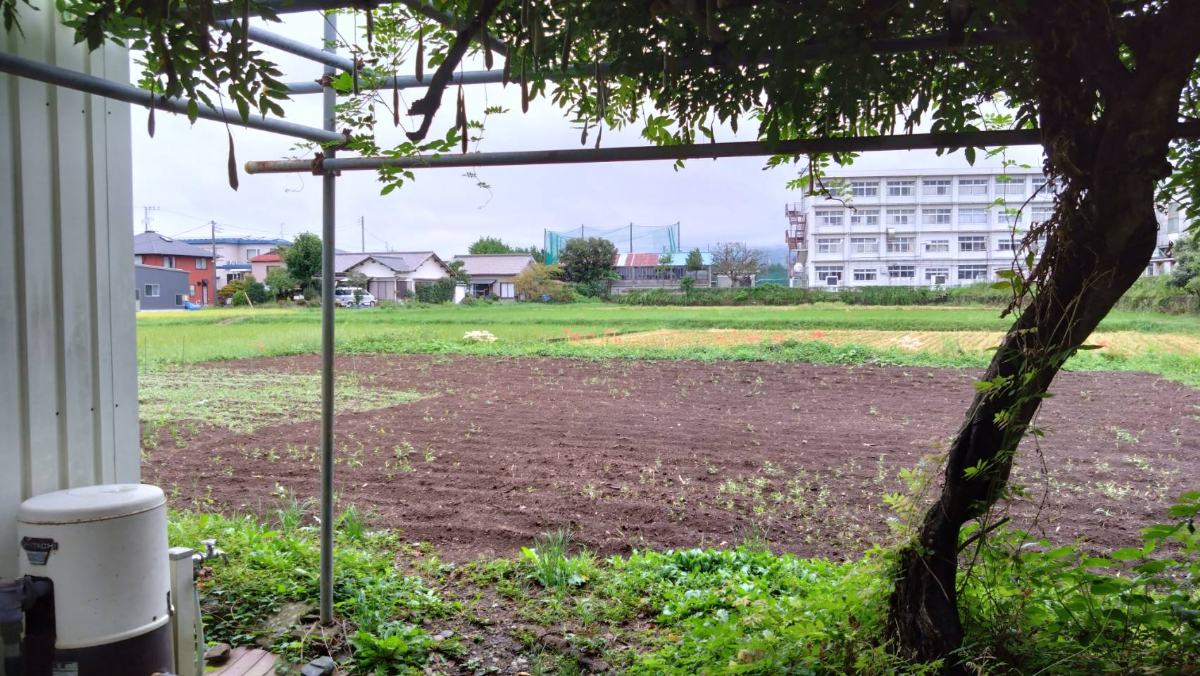 栢山圃場