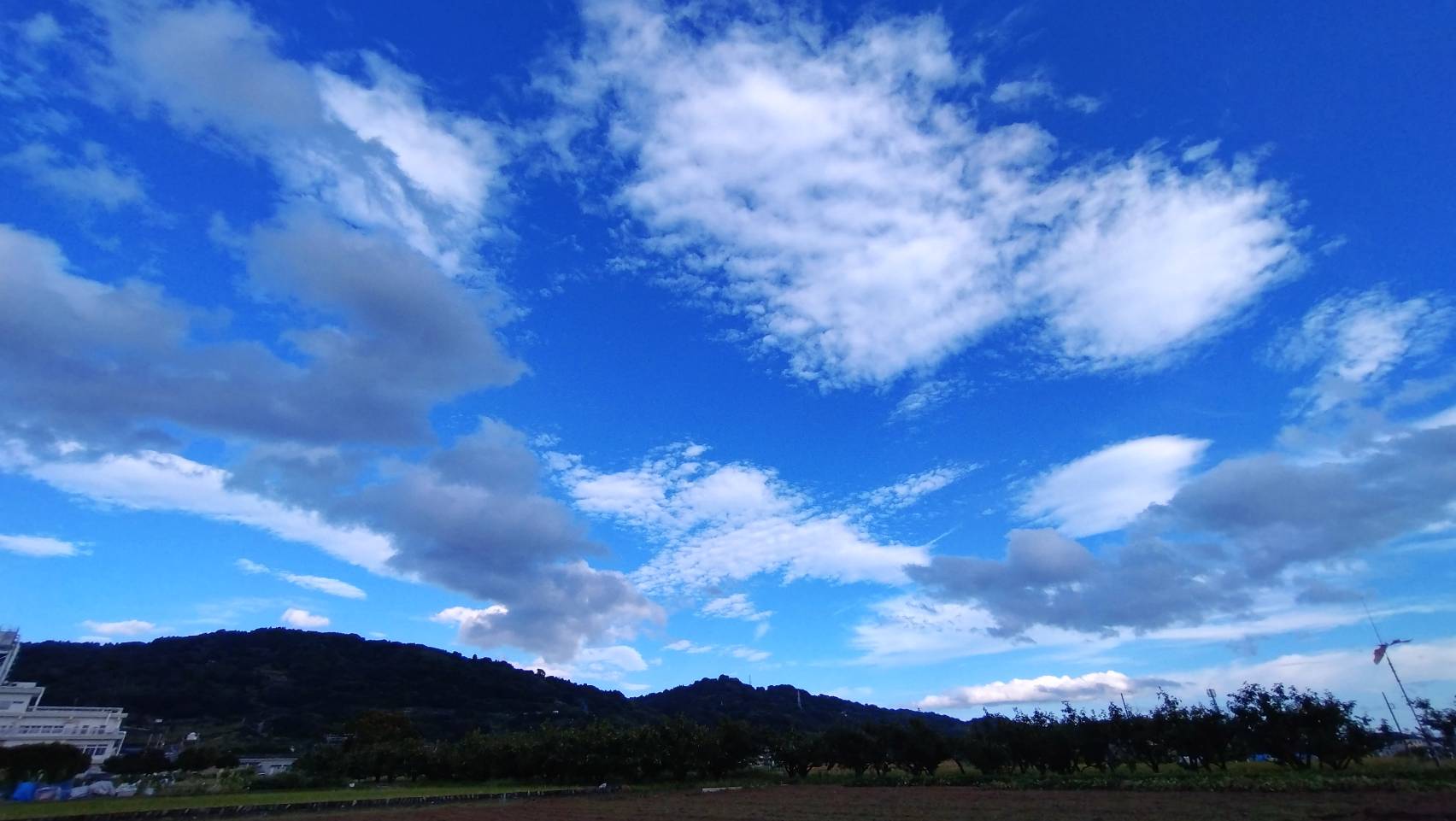 高田第2圃場にトラクターかけました。