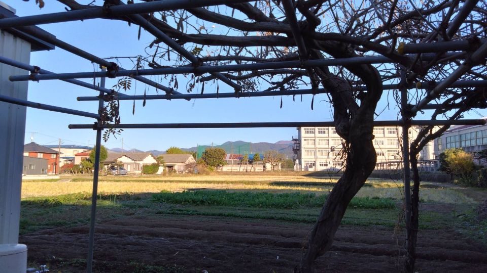 栢山圃場