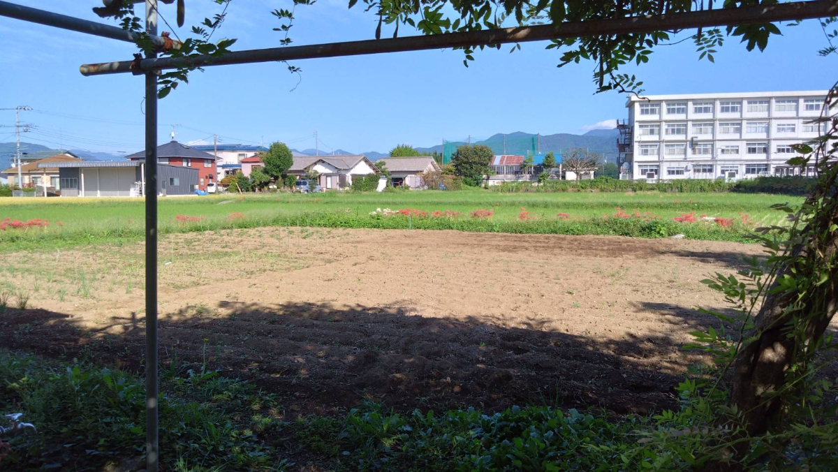 栢山圃場