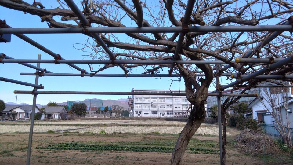 栢山圃場