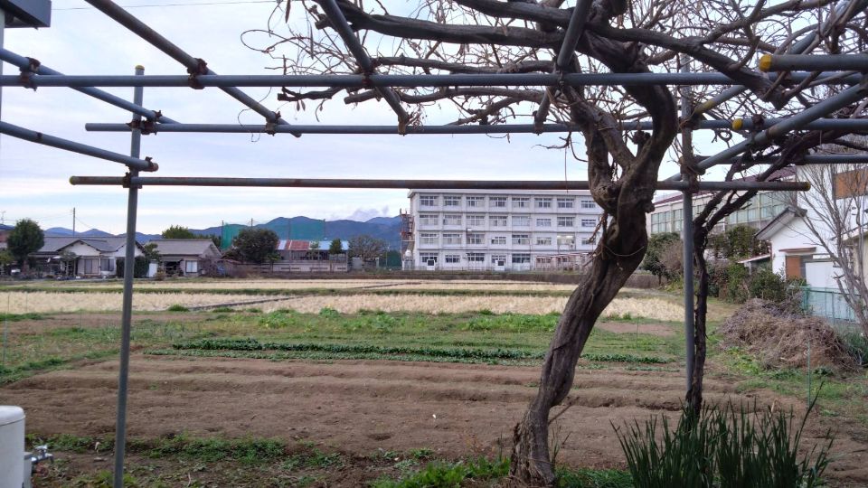 栢山圃場