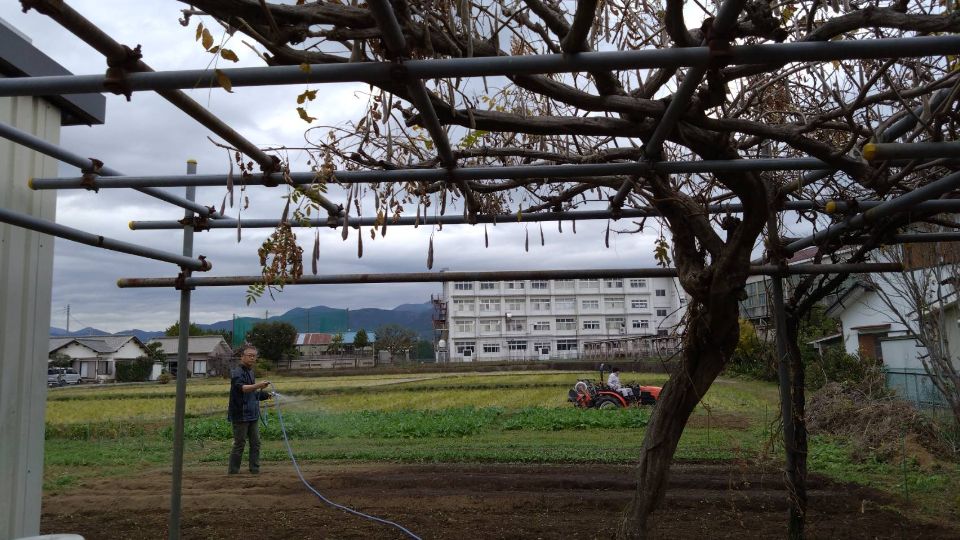 栢山圃場