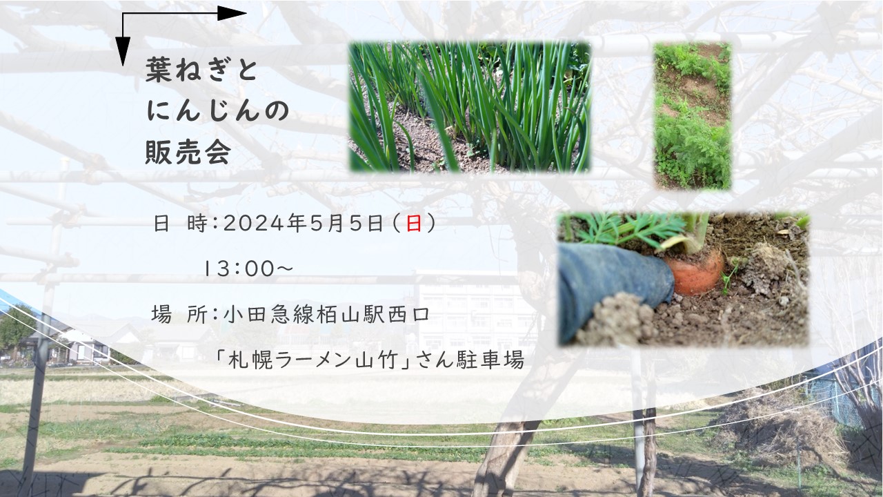 野菜販売会