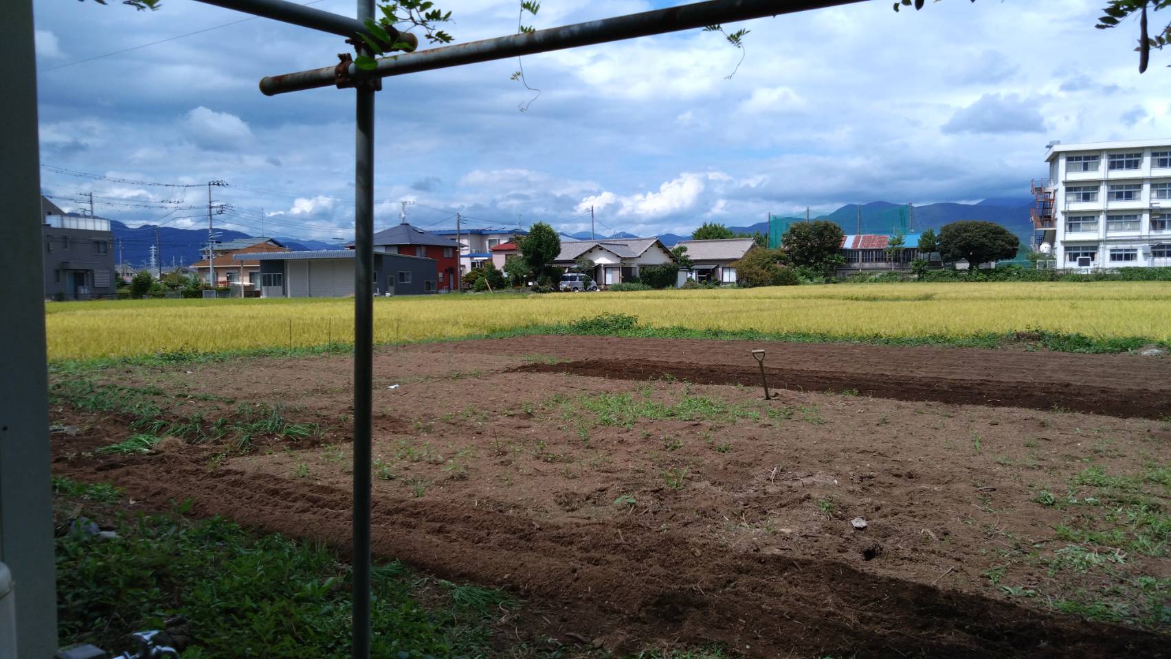 栢山圃場