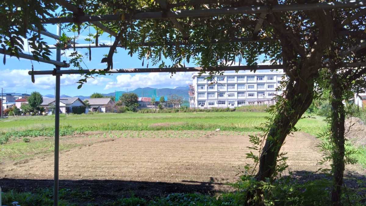 栢山圃場