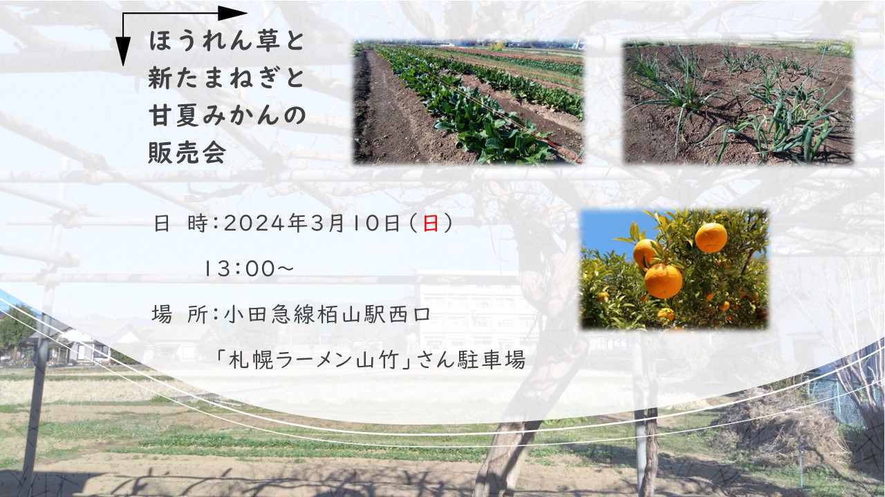 野菜販売会