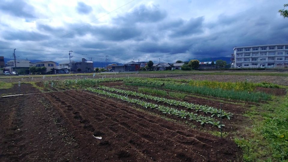 栢山圃場