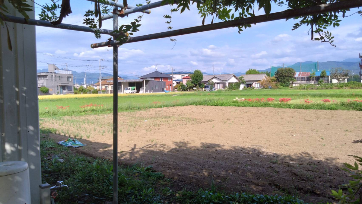 栢山圃場