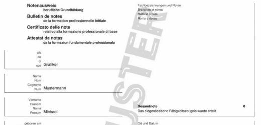 Auch einen Fake-Notenausweis bietet die Website an. Jüngst ist ein Bewerber in der Schweiz mit einem solch gefälschten Diplom aufgeflogen.