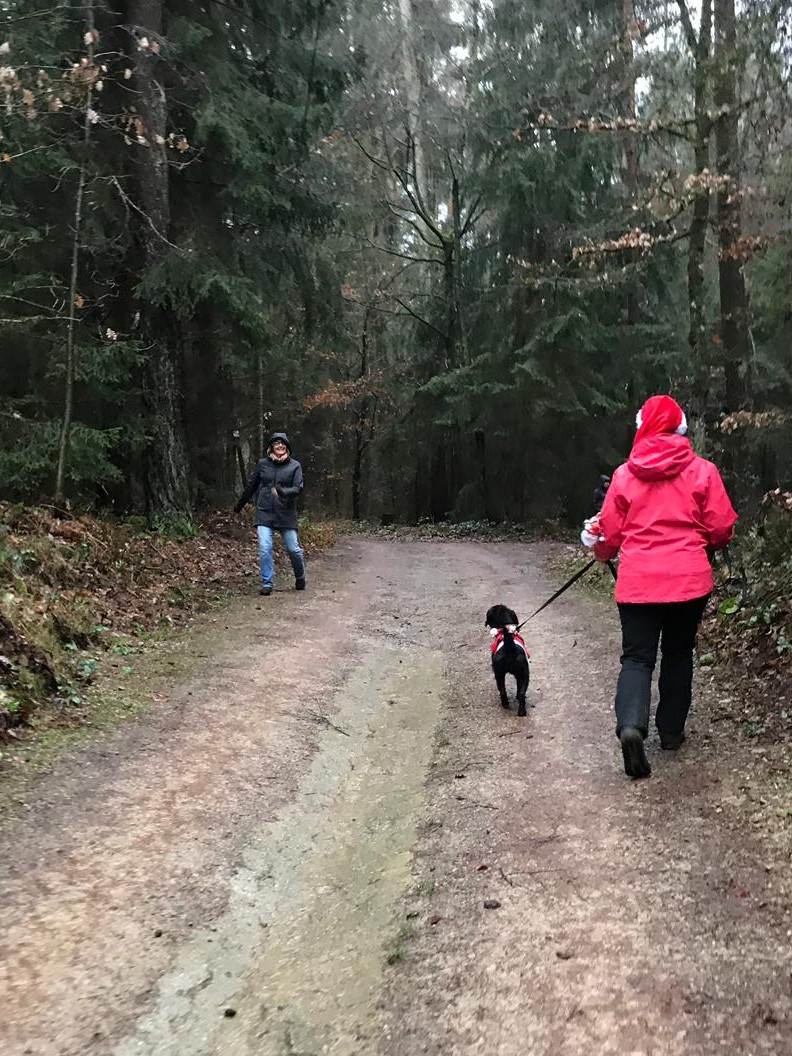 "Ein Fräulein hüpft im Walde, ganz nass und singt ;-)"