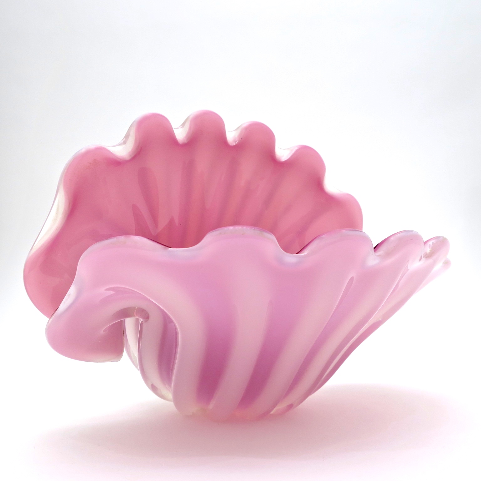 carnivora venusfliegenfalle murano riesenmuschel tridacna opalino opalglas puderpink altrosa rosé bubblegumpink puderpink mundgelblasen hochzeitsgeschenk geschenke kaufmuseum