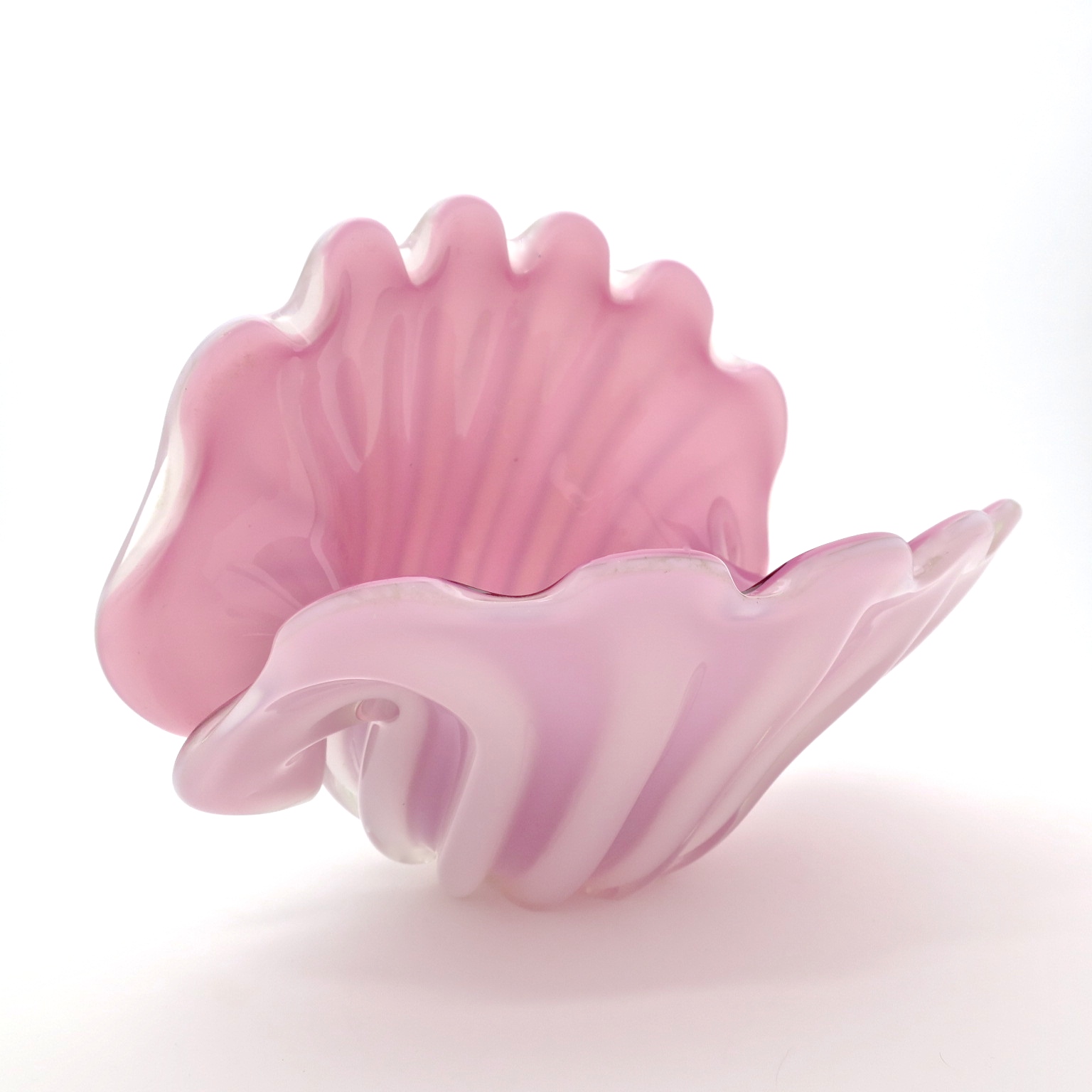 carnivora venusfliegenfalle murano riesenmuschel tridacna opalino opalglas puderpink altrosa rosé bubblegumpink puderpink mundgelblasen hochzeitsgeschenk geschenke kaufmuseum