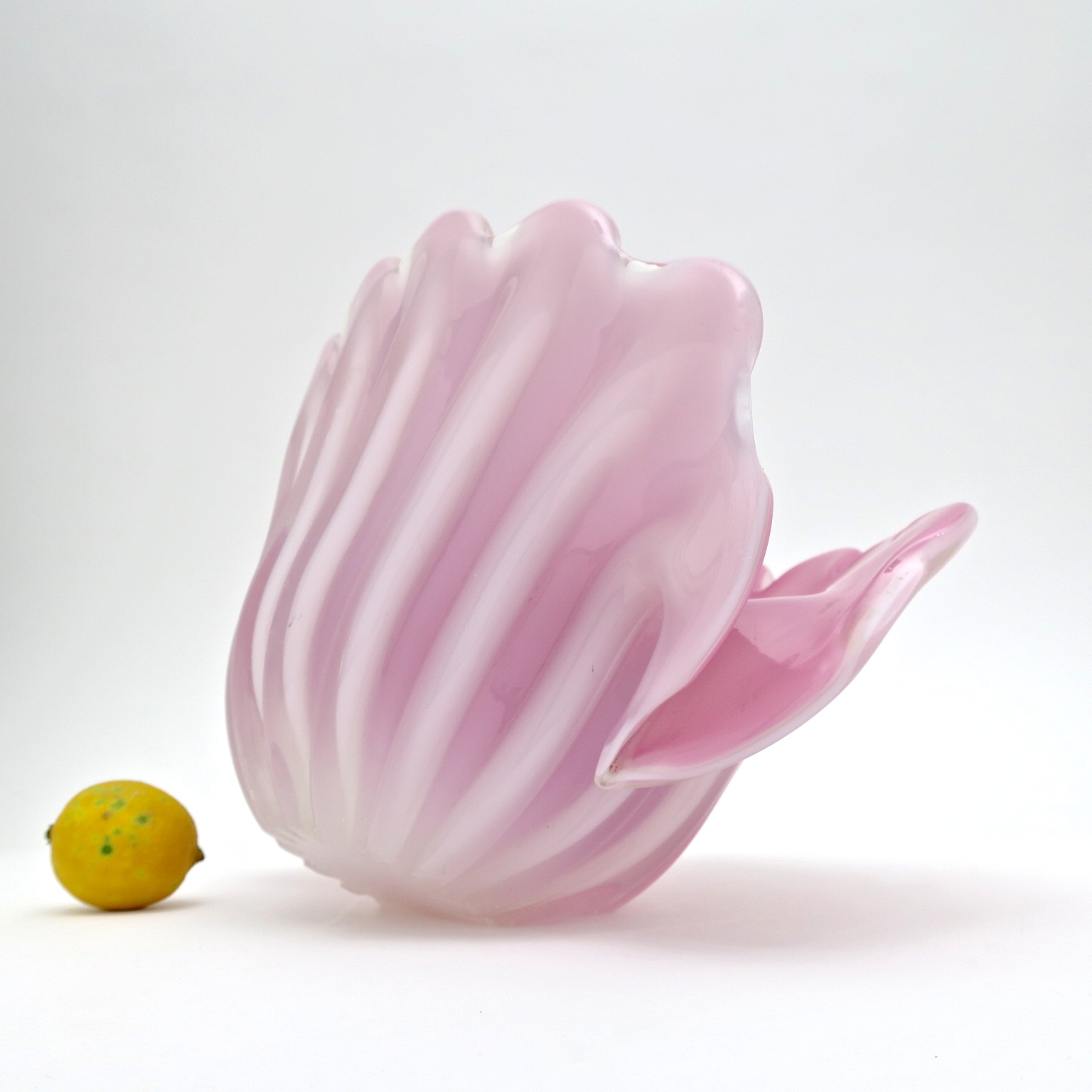 carnivora venusfliegenfalle murano riesenmuschel tridacna opalino opalglas puderpink altrosa rosé bubblegumpink puderpink mundgelblasen hochzeitsgeschenk geschenke kaufmuseum