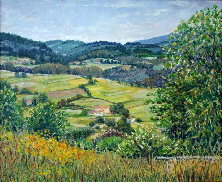 44. CAMPOS DE MALLEZA O/L  46x38