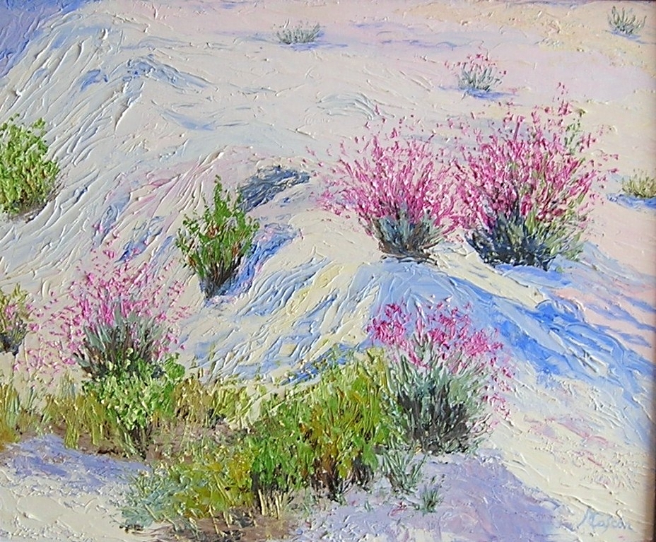 87. PRIMAVERA EN EL DESIERTO - OL 47x39