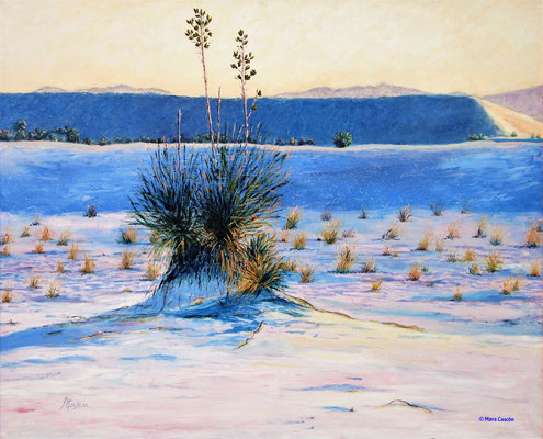 48. ARENAS BLANCAS - óleo sobre lienzo - 100x81