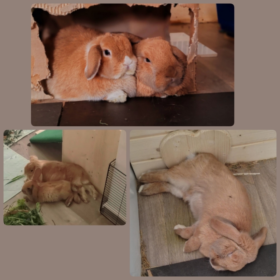 Fiona und Eddy