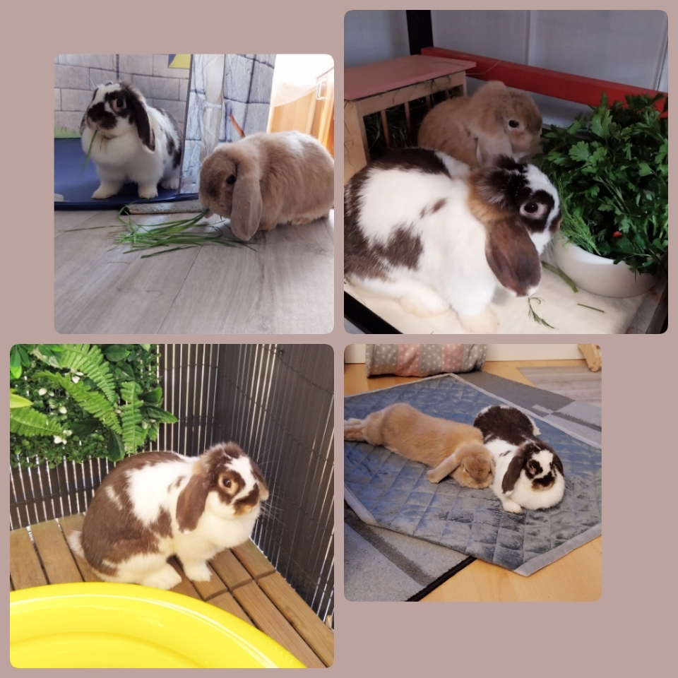 hier mal einpaar Aktuelle Bilder von den beiden (2025)