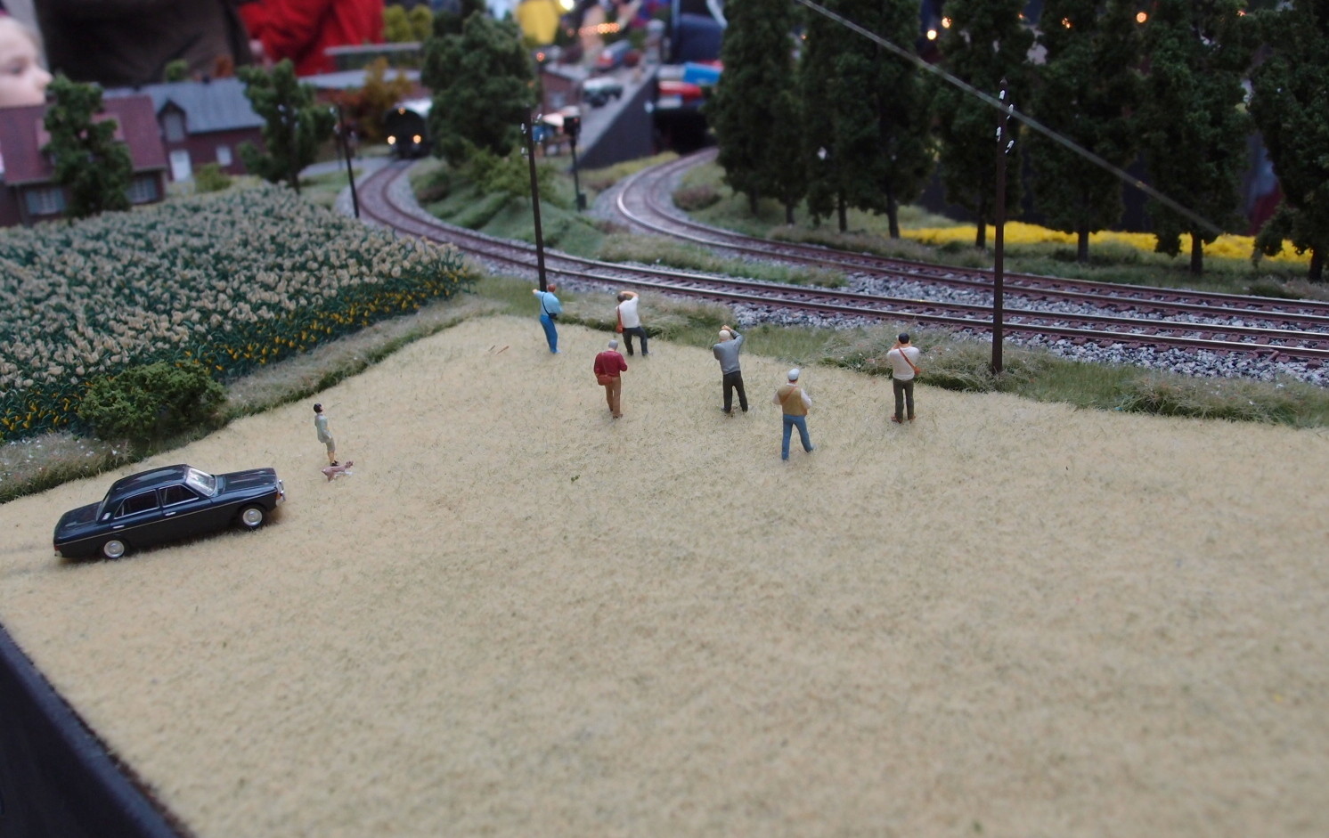 Eisenbahnverrückte Preiserlein Freunde Tecklenburger Nordbahn