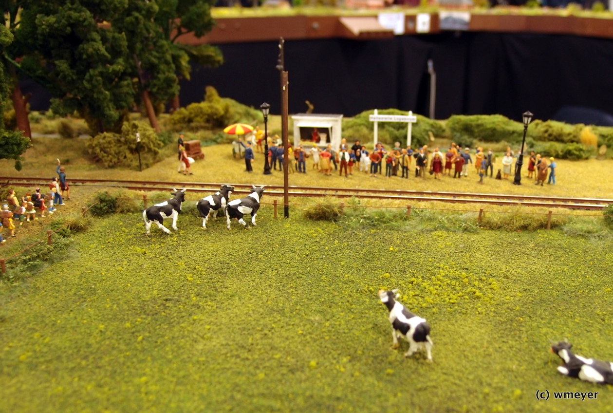 Kleinbahn LAW