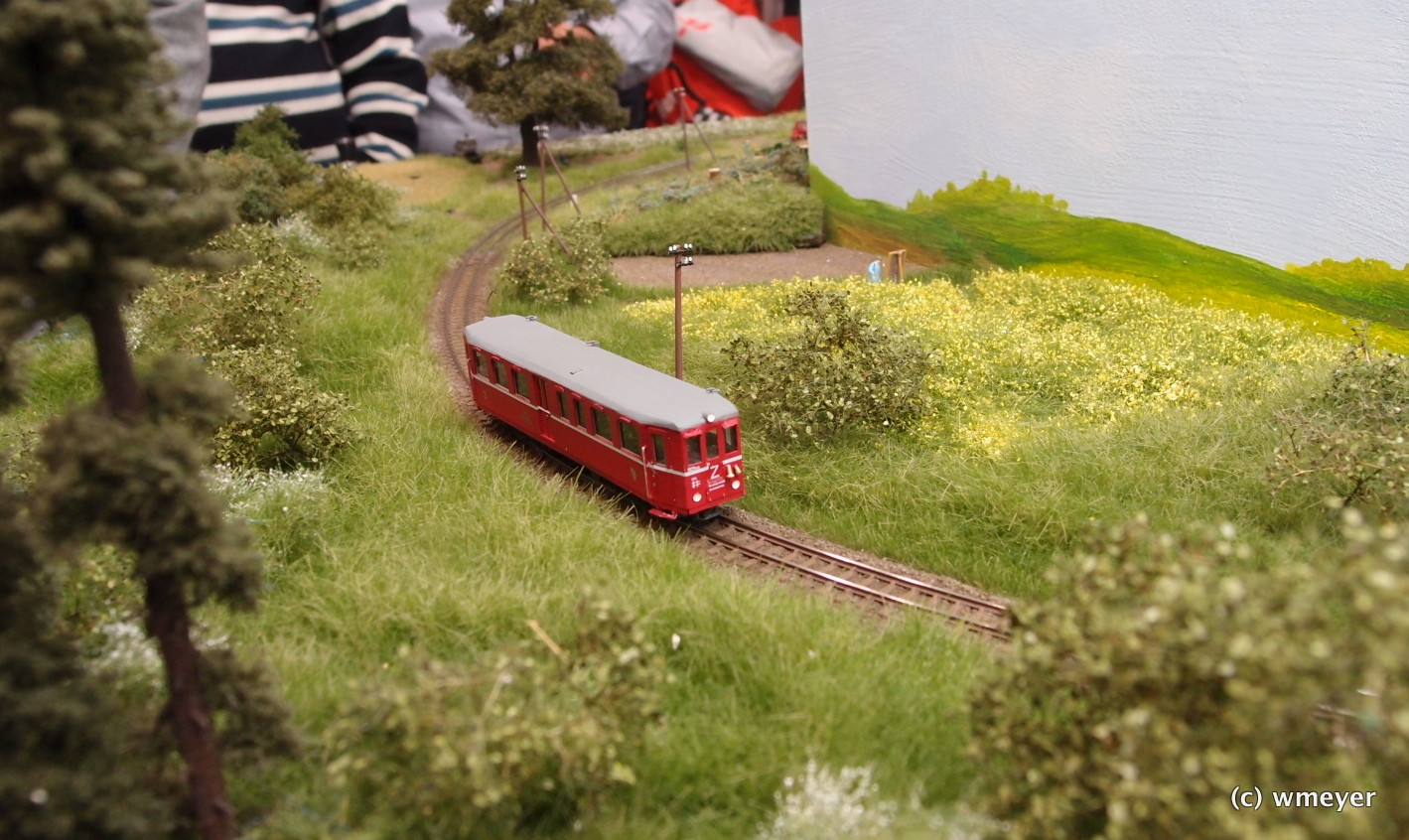 Friedländer Bezirksbahn in TTe
