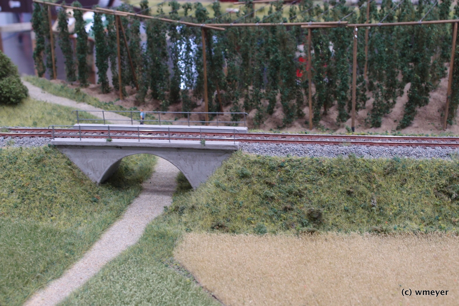 Halletauer Lokalbahn H0