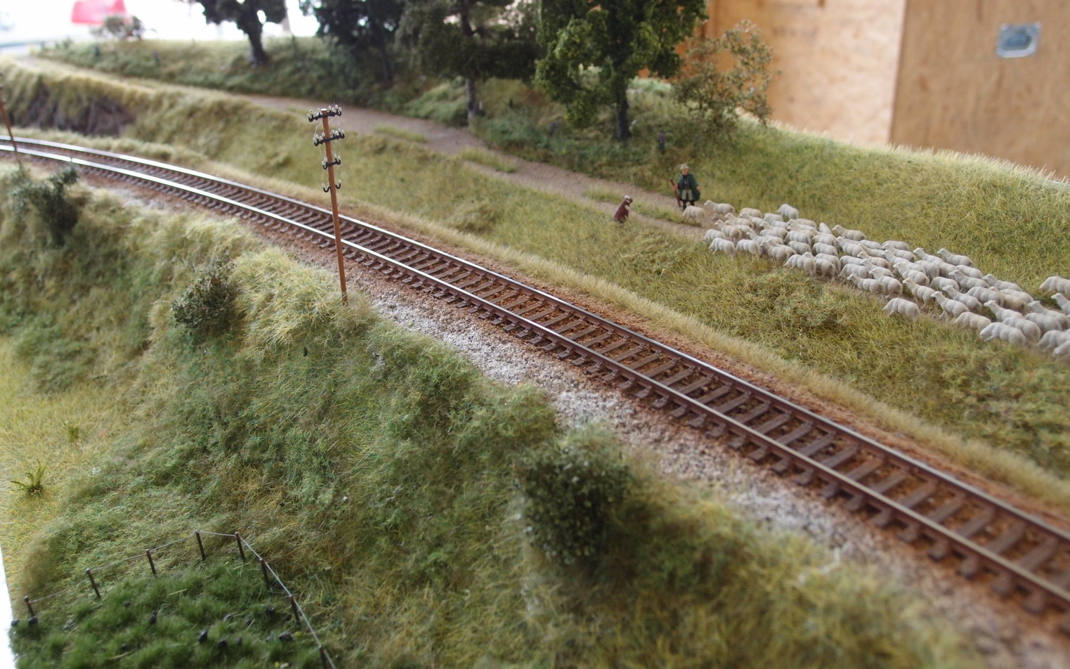 Modell-Eisenbahn-Freunde Kinzigtal