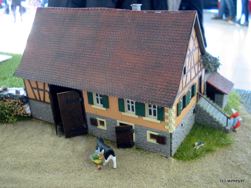 Schmalspur Schiltach