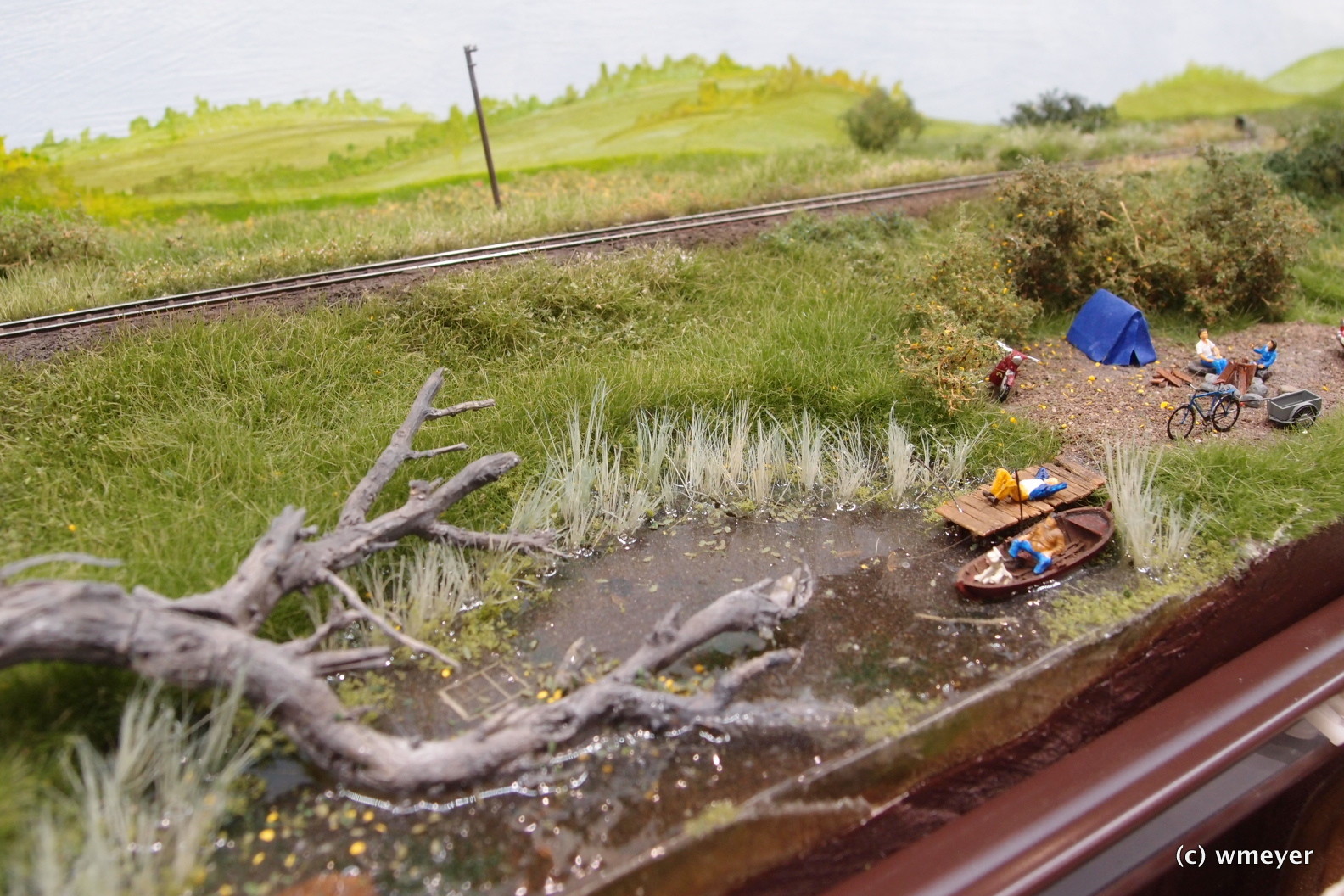 Friedländer Bezirksbahn in TTe