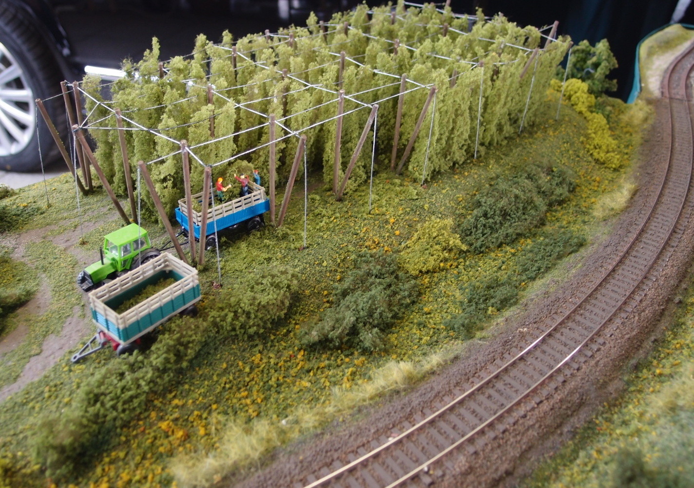 Diepholzer Eisenbahnfreunde