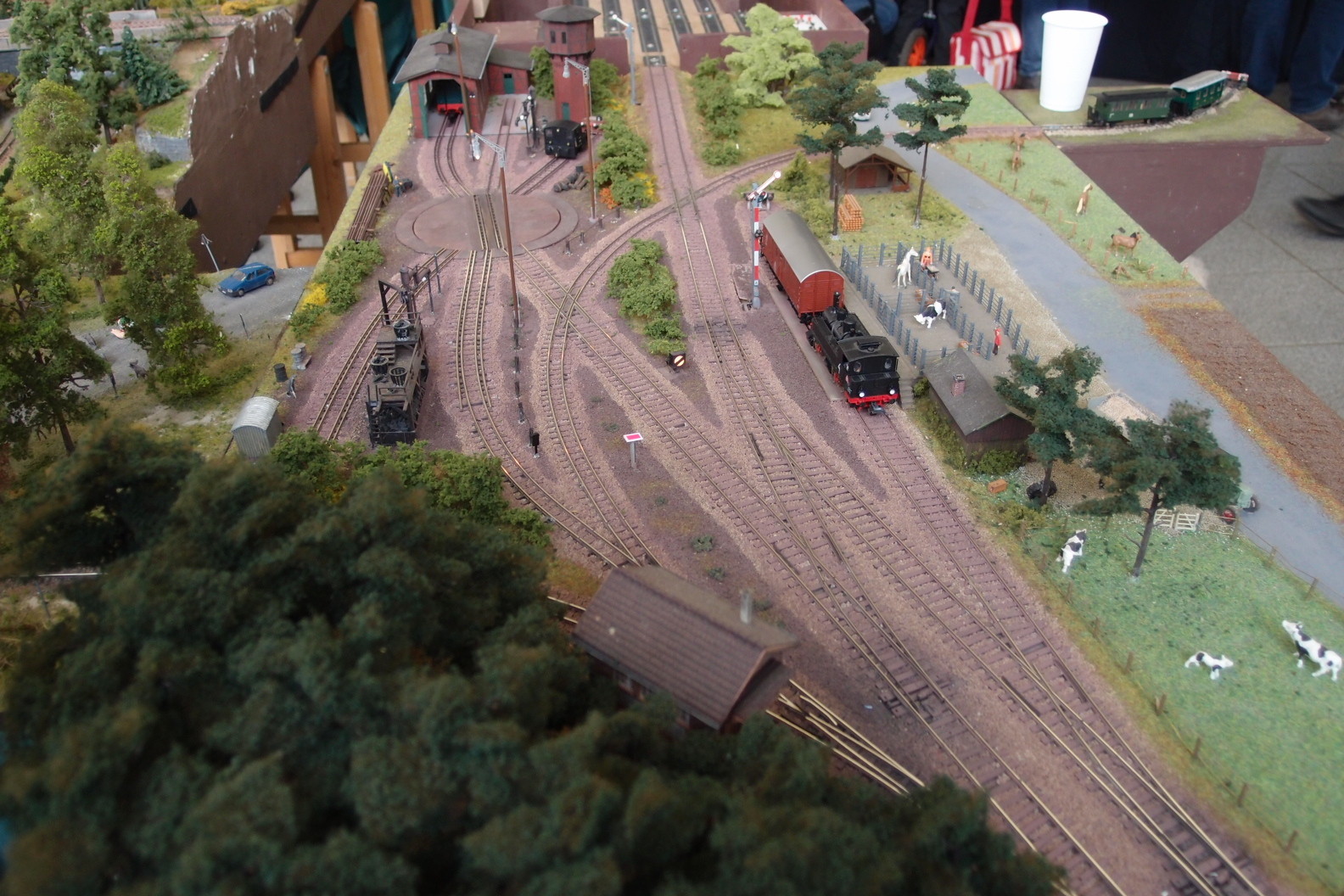 Diepholzer Eisenbahnfreunde