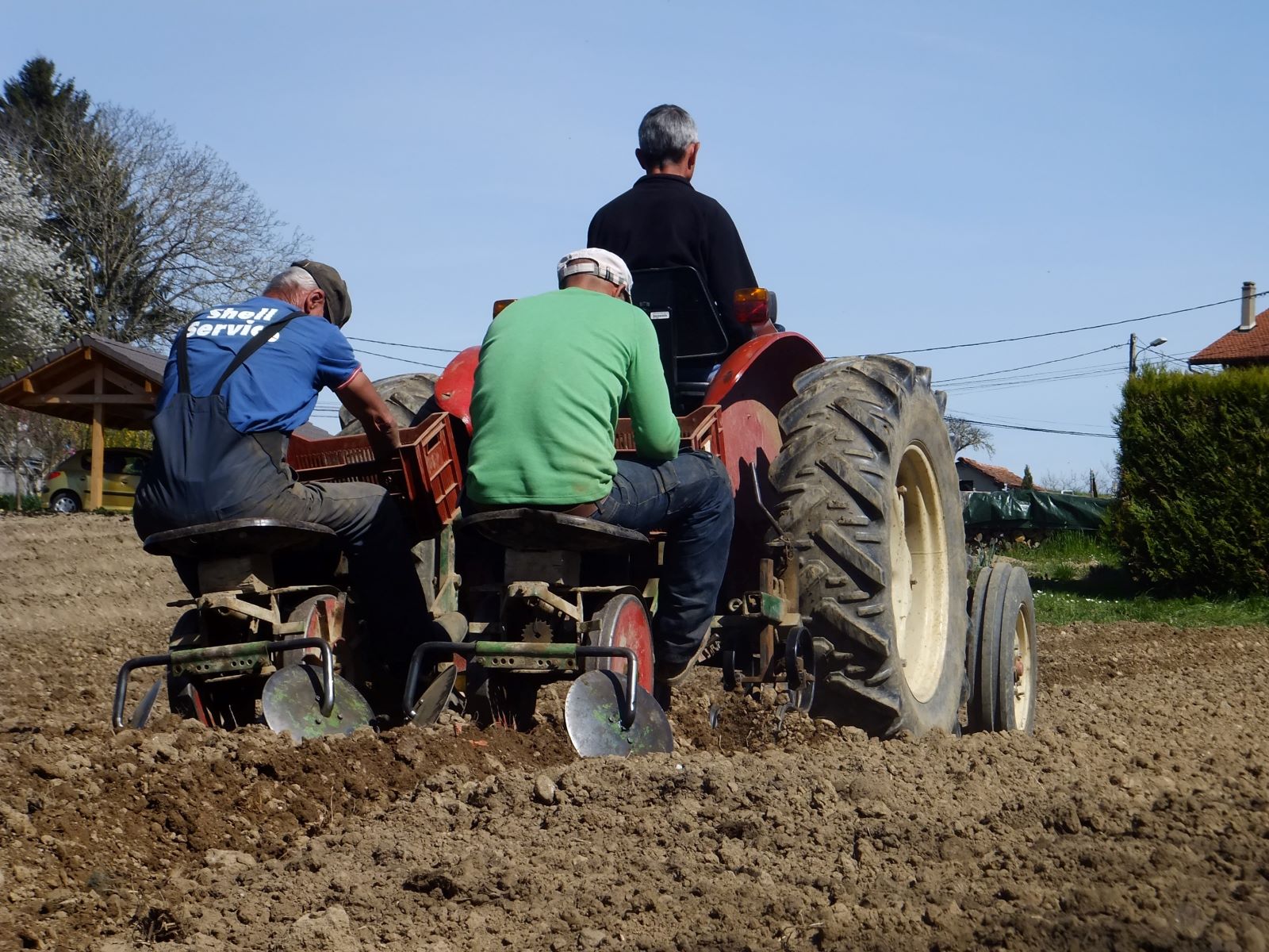 Avril - La plantation de Pommes de Terre est un travail d'équipe