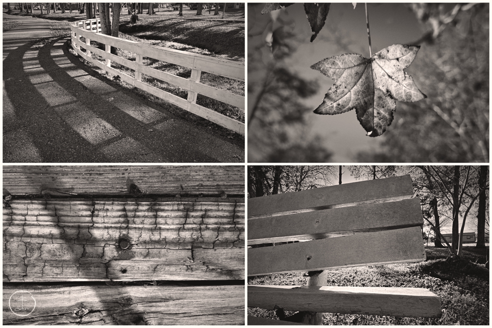 The old walking park behind the hospital in Dequincy, Louisiana. Photos by Brother Oran Parker.