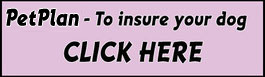 Insure your dog with petplan