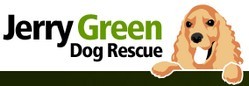 Hull And East Yorkshire Boxer Dog Rescue Hull And East Yorkshire Boxer Dog Rescue